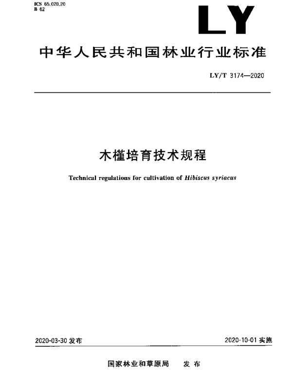 LYT 3174-2020 木槿培育技术规程
