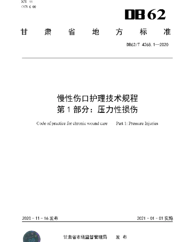 DB62T 4268.1-2020 慢性伤口护理技术规程第1部分：压力性损伤