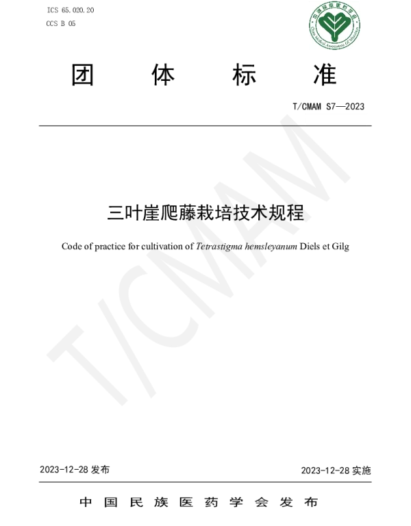 TCMAM S7-2023 三叶崖爬藤栽培技术规程