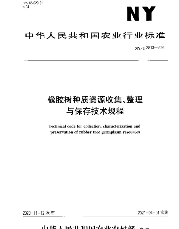 NYT 3813-2020 橡胶树种质资源收集、整理与保存技术规程