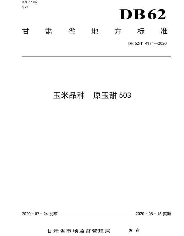 DB62T 4174-2020 玉米品种 原玉甜503