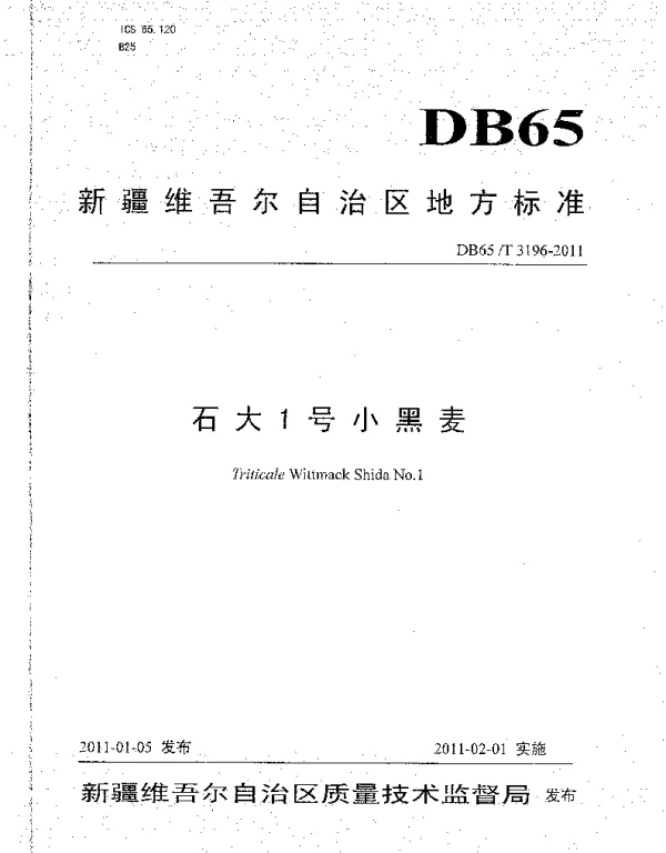 DB65T 3196-2011 石大1号小黑麦
