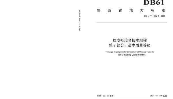 DB61T 1446.2-2021 栓皮栎培育技术规程 第2部分：苗木质量等级