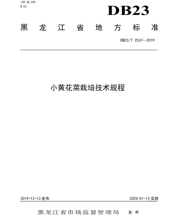 DB23T2537—2019 小黄花菜栽培技术规程