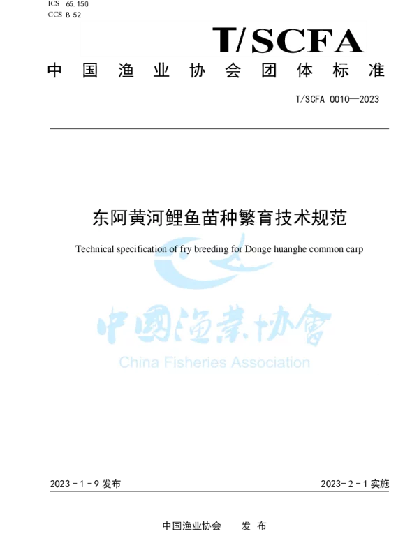 TSCFA 0010-2023 东阿黄河鲤鱼苗种繁育技术规范