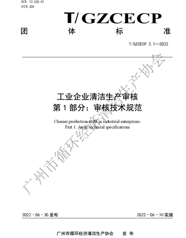 TGZCECP 3.1-2022 工业企业清洁生产审核 第1部分：审核技术规范