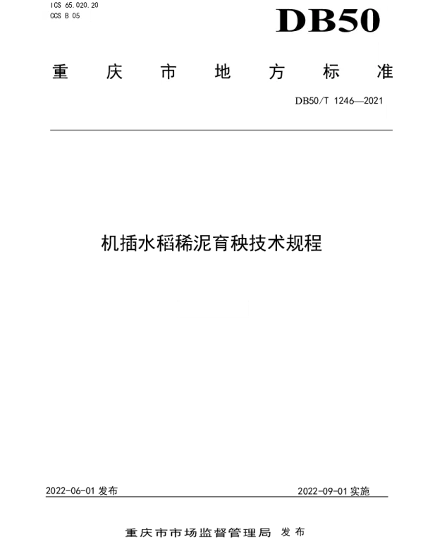 DB50T 1246-2022 机插水稻稀泥育秧技术规程