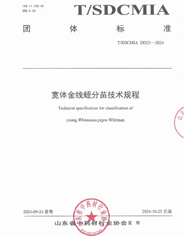 TSDCMIA DD23-2024 宽体金线蛭分苗技术规程