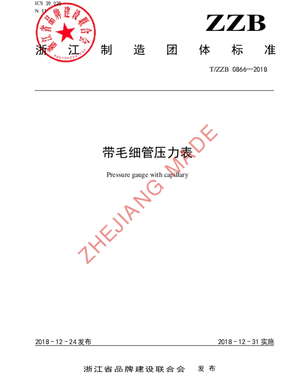 TZZB 0866-2018 带毛细管压力表