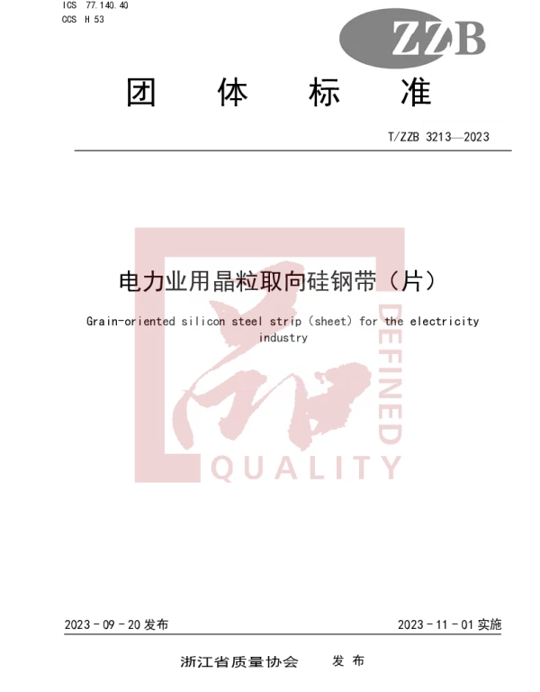 TZZB 3213-2023 电力业用晶粒取向硅钢带（片）
