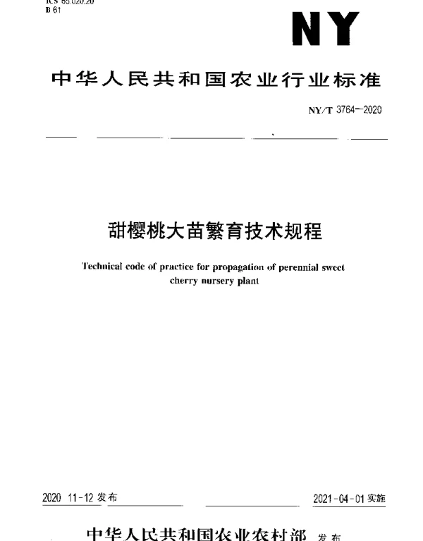 NYT 3764-2020 甜樱桃大苗繁育技术规程