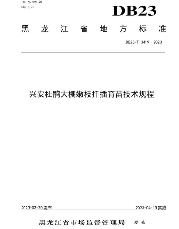 DB23T 3419—2023 兴安杜鹃大棚嫩枝扦插技术规程