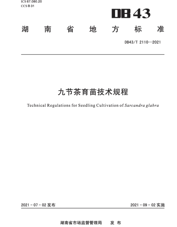 DB43T 2110-2021 九节茶育苗技术规程