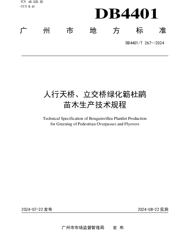 DB4401T 267—2024 人行天桥、立交桥绿化簕杜鹃苗木生产技术规程