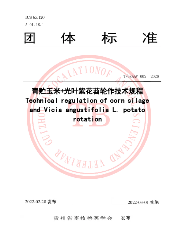 TGZAAV 002-2020 青贮玉米 光叶紫花苕轮作技术规程