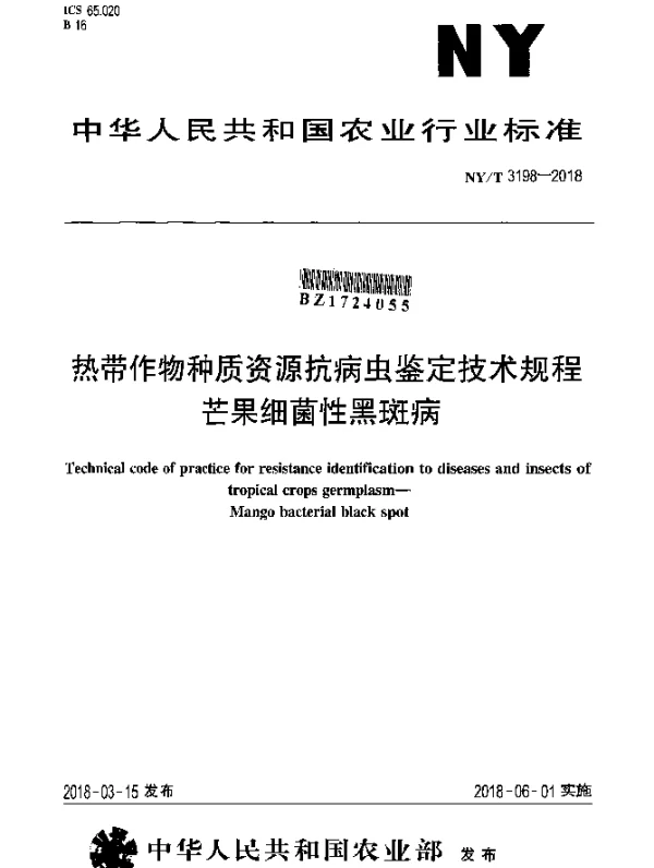 NYT 3198-2018 热带作物种质资源抗病虫鉴定技术规程 芒果细菌性黑斑病
