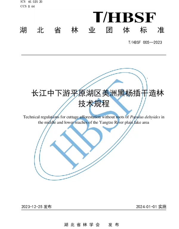 THBSF 005-2023 长江中下游平原湖区美洲黑杨插干造林技术规程