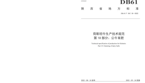 DB61T 367.18-2022 荷斯坦牛生产技术规范 第18部分：公牛育肥