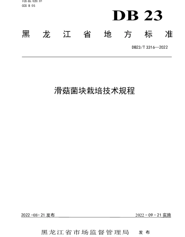 DB23T 3316—2022 滑菇菌块栽培技术规程