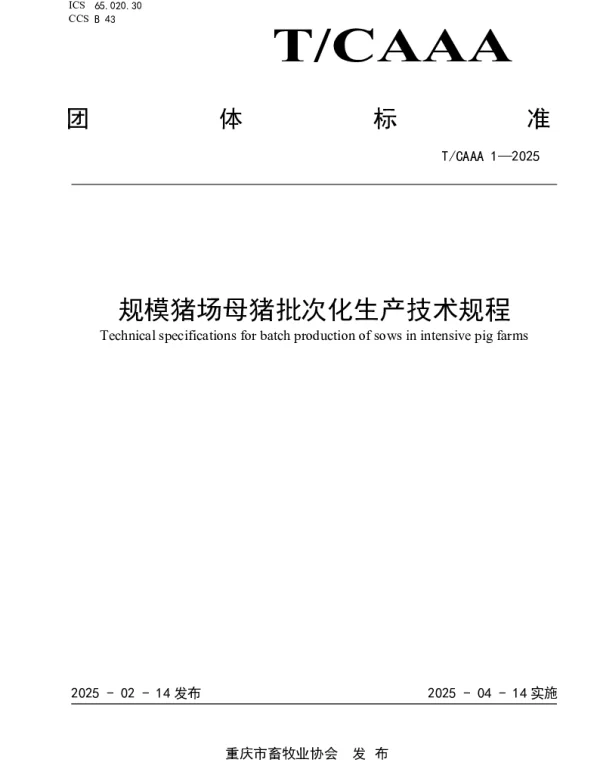 TCQAAA 1-2025 规模猪场母猪批次化生产技术规程