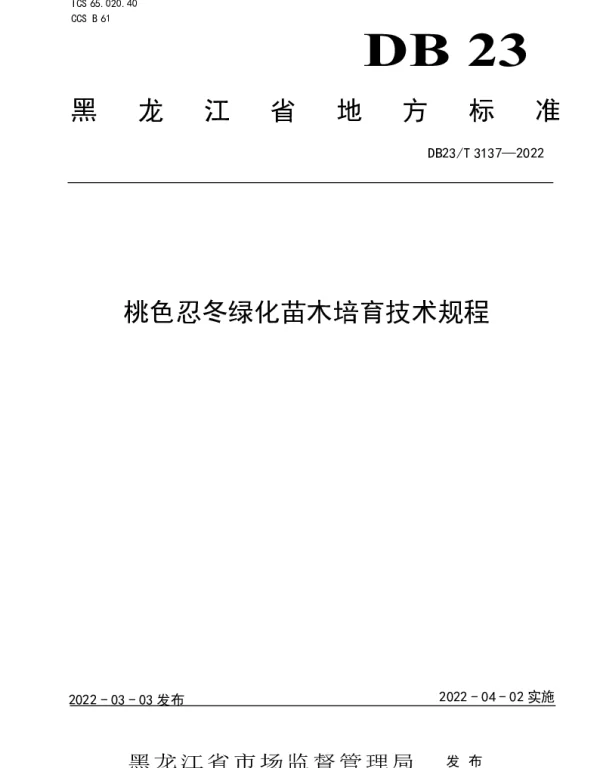 DB23T 3137—2022 桃色忍冬绿化苗木培育技术规程