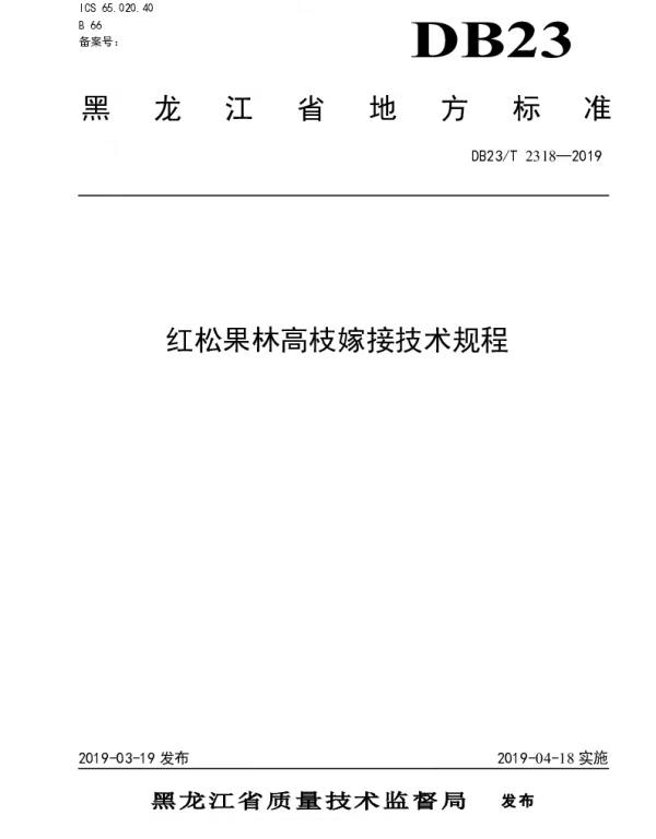 DB23T 2318—2019 红松人工果林高枝嫁接技术规程