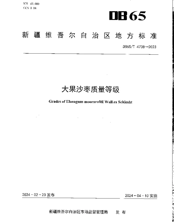 DB65T 4738-2023 大果沙枣质量等级