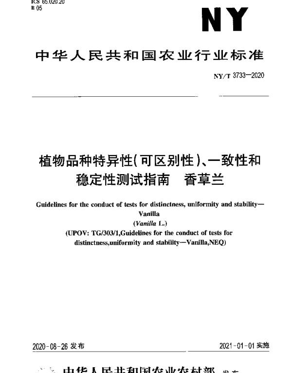 NYT 3733-2020 植物品种特异性（可区别性）、一致性和稳定性测试指南 香草兰