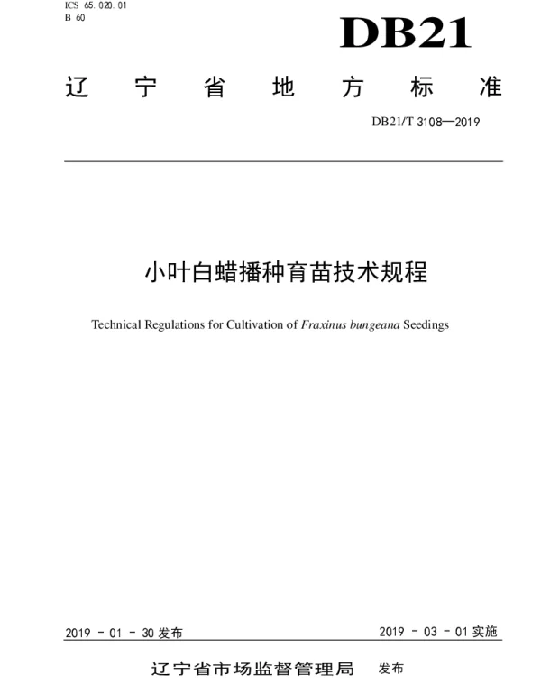 DB21T 3108-2019 小叶白蜡播种育苗技术规程