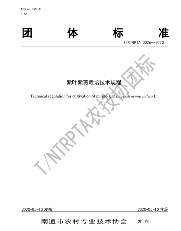 TNTRPTA 0026-2020 紫叶紫薇栽培技术规程