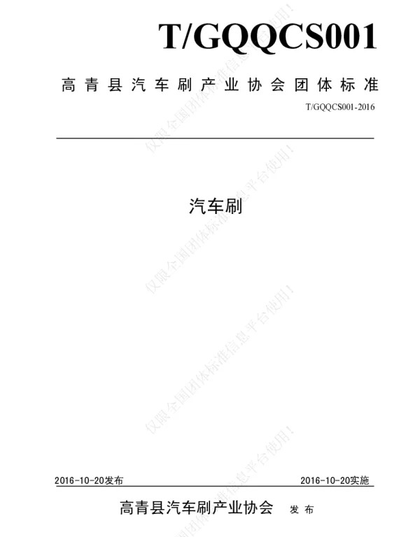 TGQQCS 001-2016 汽车刷