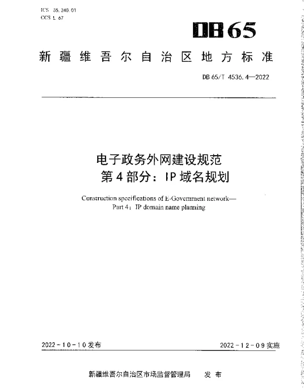 DB65T 4536.4—2022 电子政务外网建设规范第4部分：IP域名规划