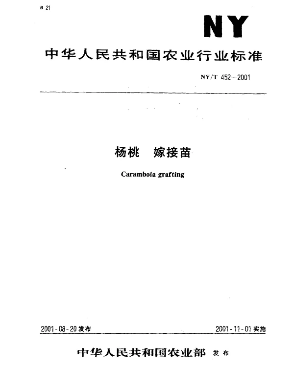 NYT 452-2001 杨桃 嫁接苗