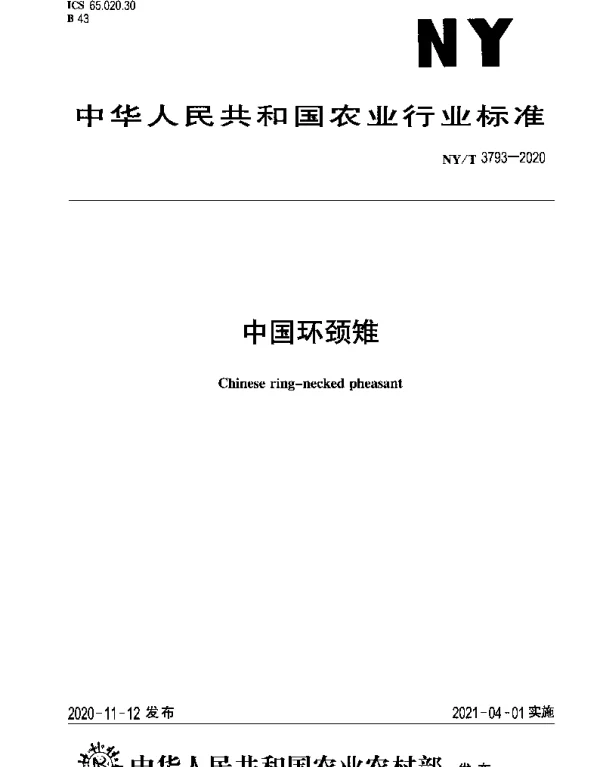 NYT 3793-2020 中国环颈雉