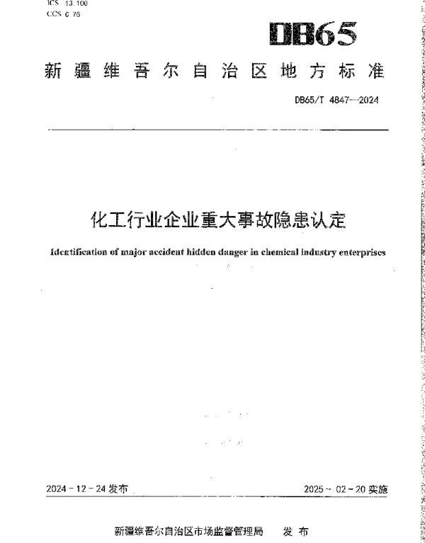 DB65T 4847-2024 化工行业企业重大事故隐患认定