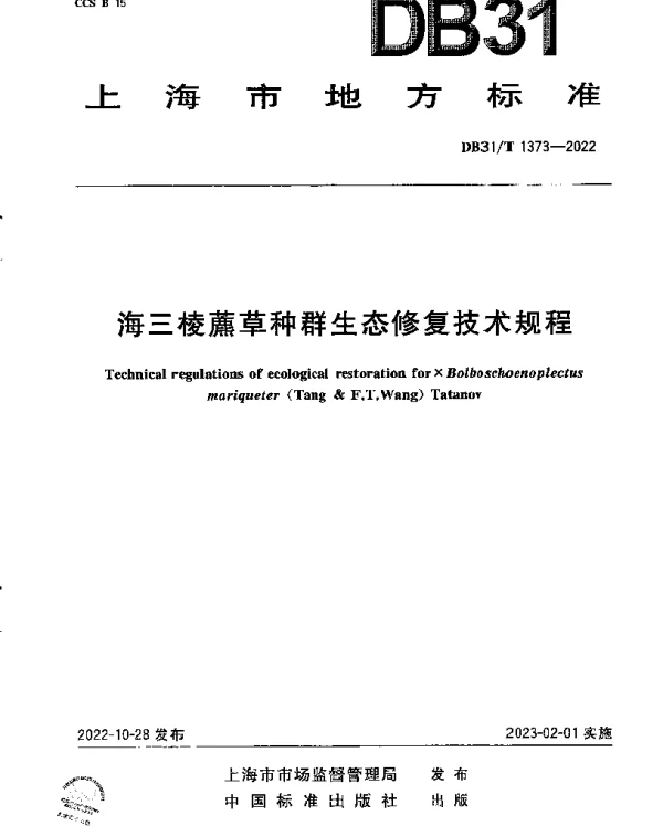 DB31T 1373-2022 海三棱藨草种群生态修复技术规程
