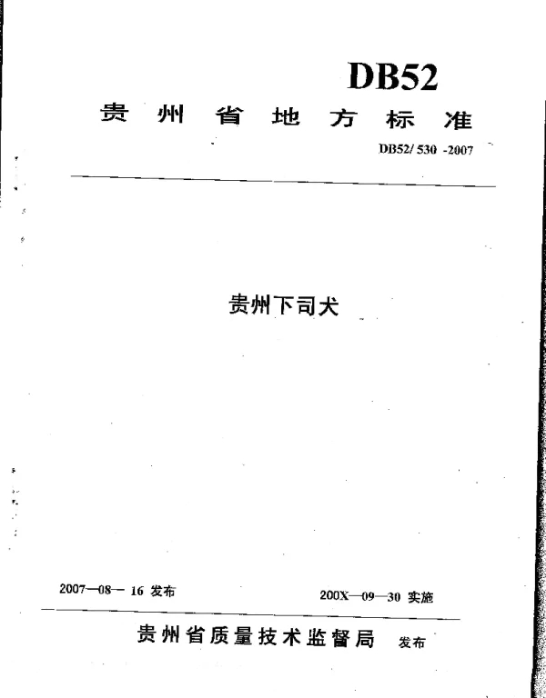 DB52T 530-2007 贵州下司犬