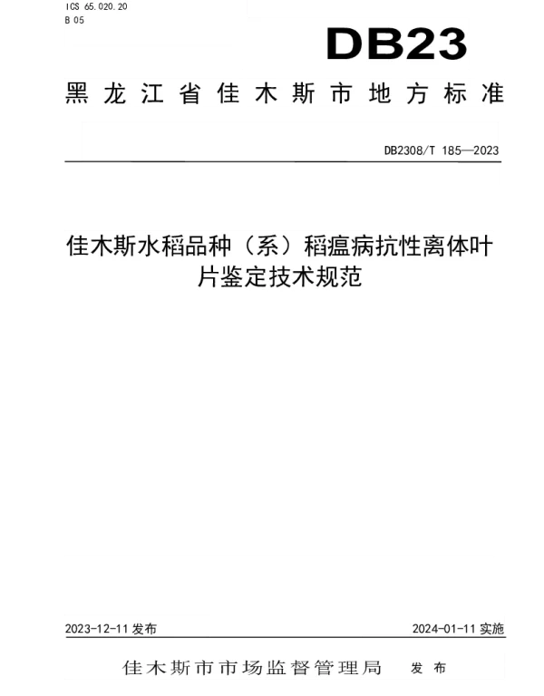 DB2308T 185-2023 佳木斯水稻品种（系）稻瘟病抗性离体叶片鉴定技术规范