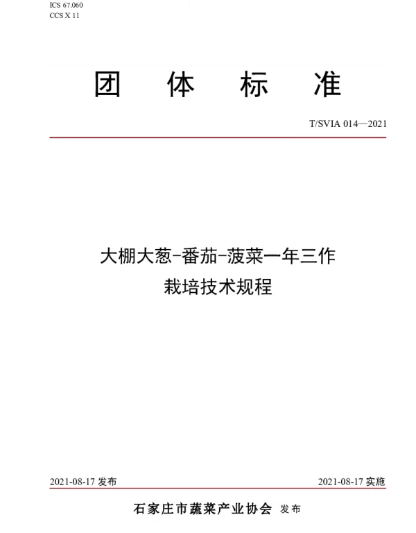 TSVIA 014-2021 大棚大葱-番茄-菠菜一年三作栽培技术规程