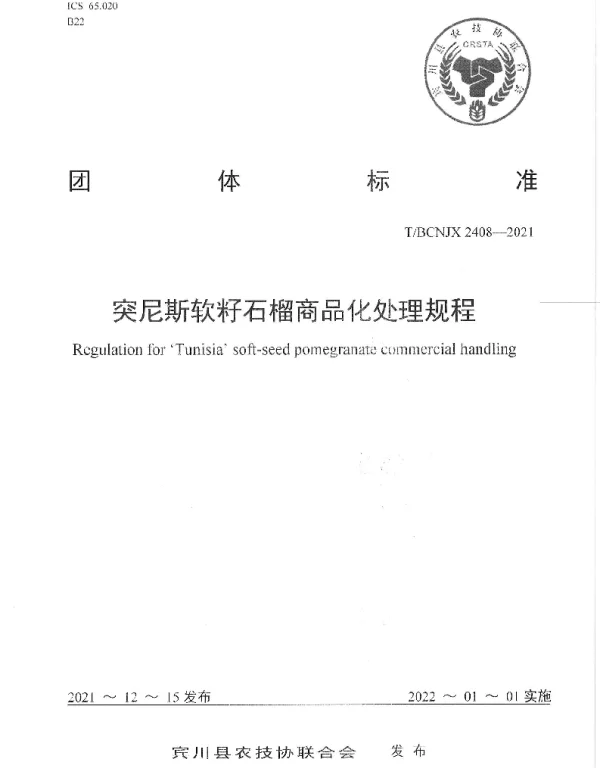 TBCNJX 2408-2021 突尼斯软籽石榴商品化处理规程