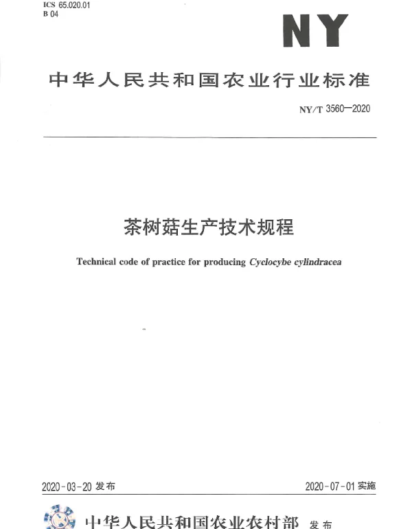 NYT 3560-2020 茶树菇生产技术规程