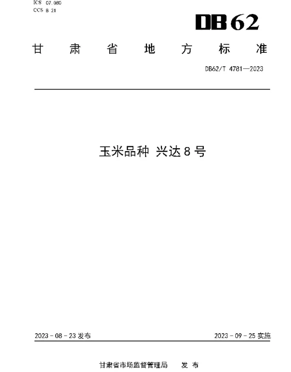 DB62T 4781-2023 玉米品种 兴达8号