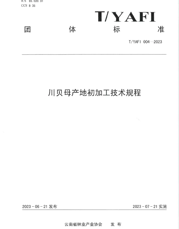 TYAFI 004-2023 川贝产地初加工技术规程