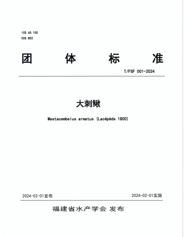 TFSF 001-2024 大刺鳅