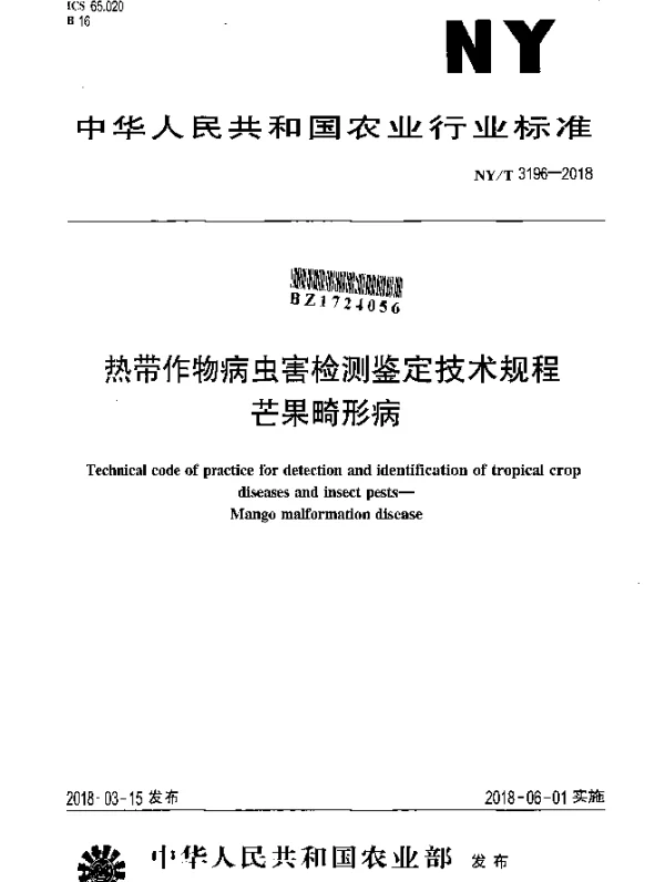 NYT 3196-2018 热带作物病虫害检测鉴定技术规程 芒果畸形病
