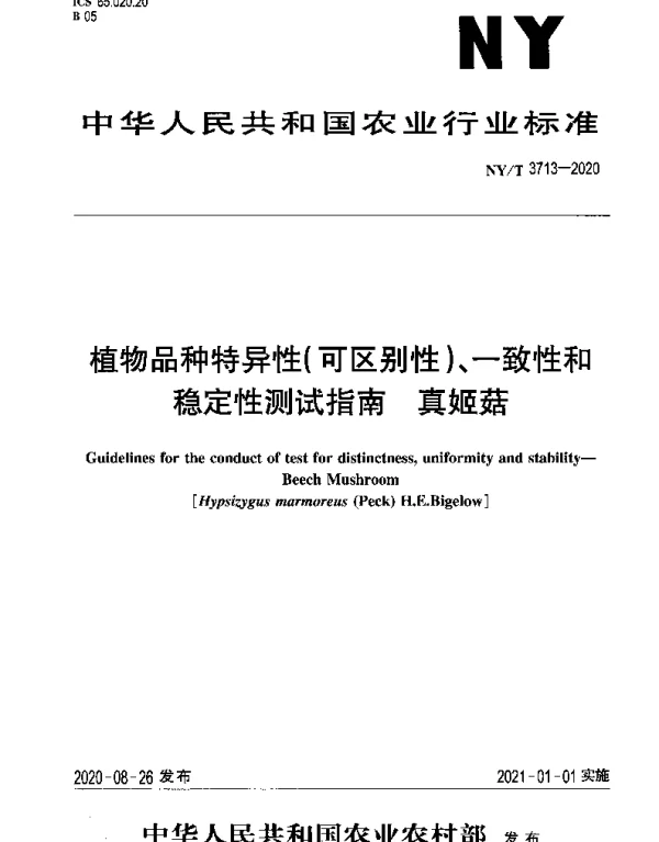 NYT 3713-2020 植物品种特异性（可区别性）、一致性和稳定性测试指南 真姬菇