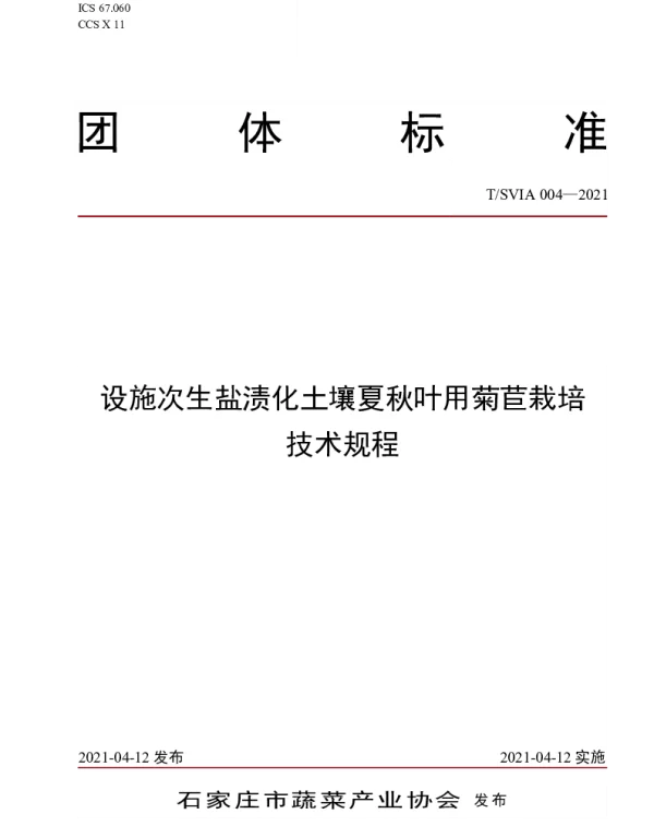 TSVIA 004-2021 设施次生盐渍化土壤夏秋叶用菊苣栽培技术规程
