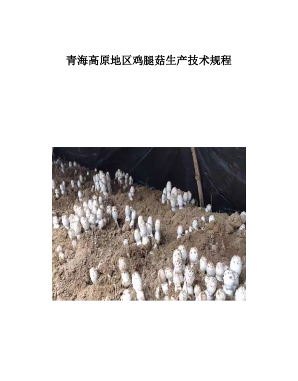 TQHJLXH 003-2021 青海高原地区鸡腿菇生产技术规程