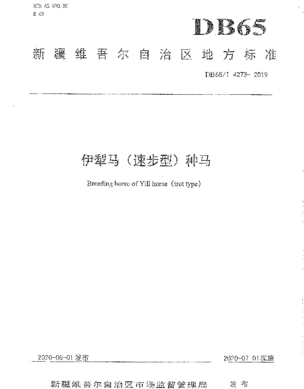 DB65T 4273-2019 伊犁马（速步型）种马