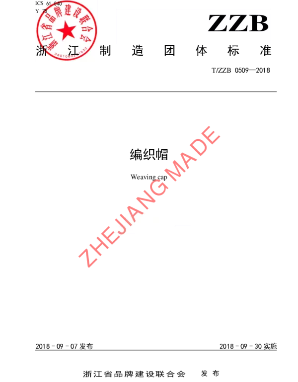 TZZB 0509-2018 编织帽